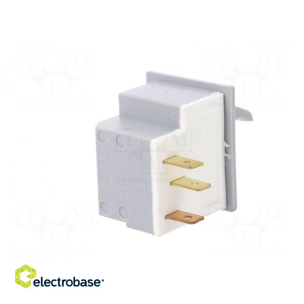 Switch: door | Pos: 2 | SPDT | 5A/250VAC | Leads: connectors 4,8x0,5mm paveikslėlis 6