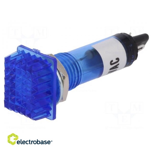 Indicator: with FLUO neon lamp | prominent | blue | 230VAC | plastic image 1