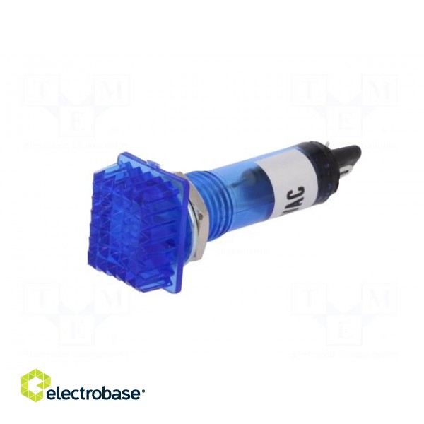 Indicator: with FLUO neon lamp | prominent | blue | 230VAC | plastic image 2