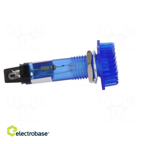 Indicator: with FLUO neon lamp | prominent | blue | 230VAC | plastic image 7