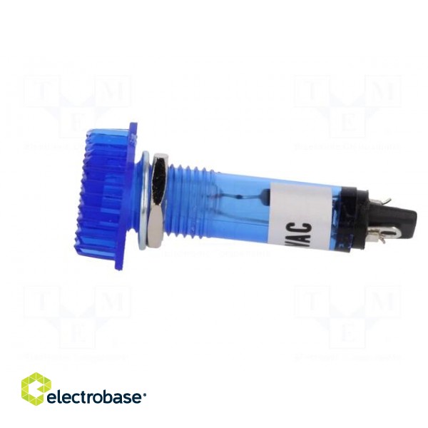 Indicator: with FLUO neon lamp | prominent | blue | 230VAC | plastic image 3