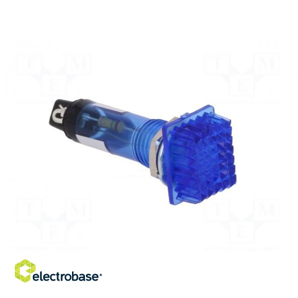 Indicator: with FLUO neon lamp | prominent | blue | 230VAC | plastic image 8