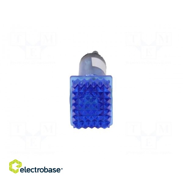 Indicator: with FLUO neon lamp | prominent | blue | 230VAC | plastic image 9