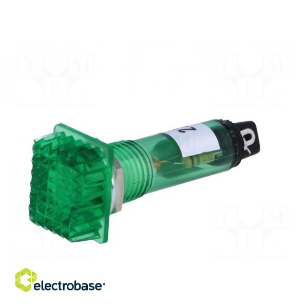 Indicator: with FLUO neon lamp | prominent | green | 230VAC | plastic image 2