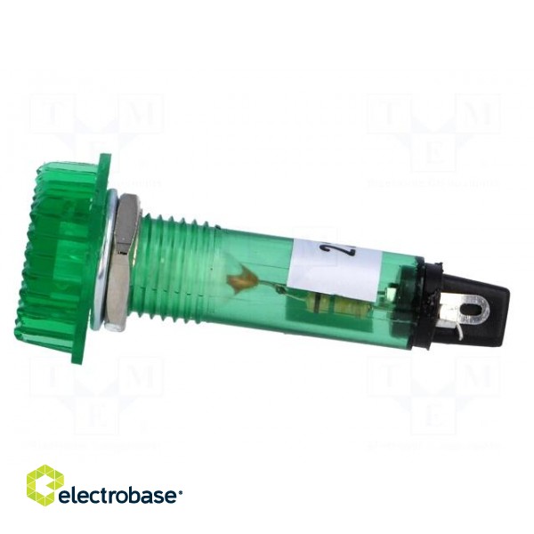 Indicator: with FLUO neon lamp | prominent | green | 230VAC | plastic image 3