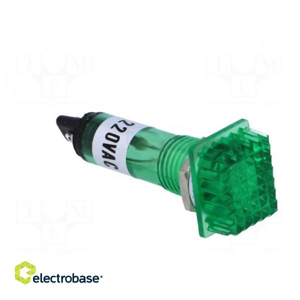 Indicator: with FLUO neon lamp | prominent | green | 230VAC | plastic image 8