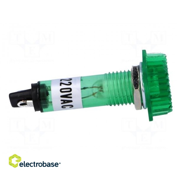 Indicator: with FLUO neon lamp | prominent | green | 230VAC | plastic image 7
