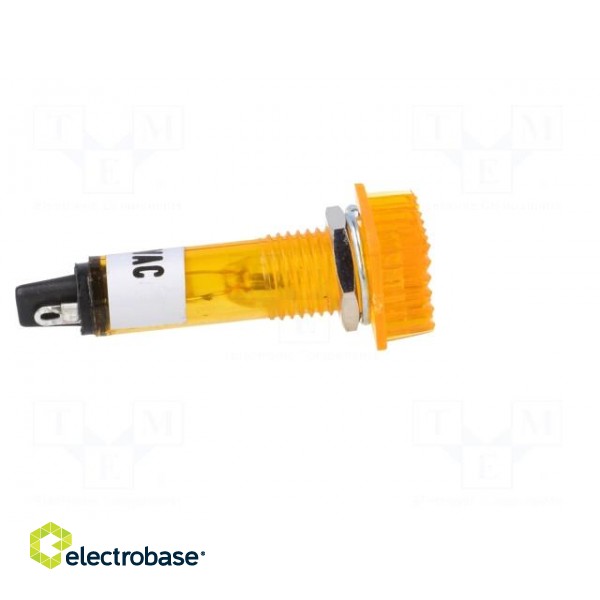 Indicator: with neon lamp | prominent | yellow | 230VAC | plastic image 7