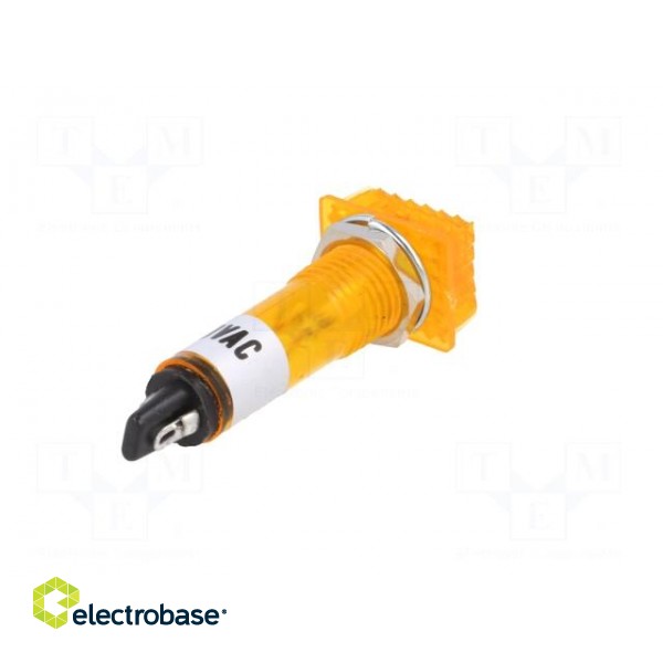 Indicator: with neon lamp | prominent | yellow | 230VAC | plastic image 6