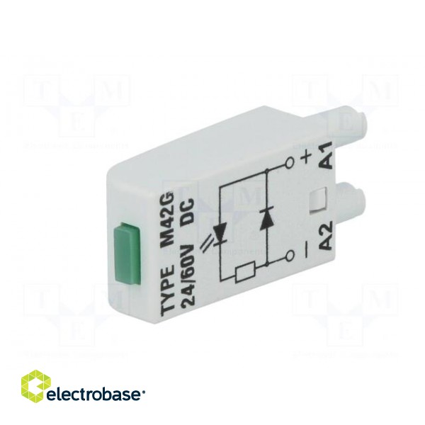 Module protecting | Mounting: socket | Indication: LED | 24/60VDC paveikslėlis 2