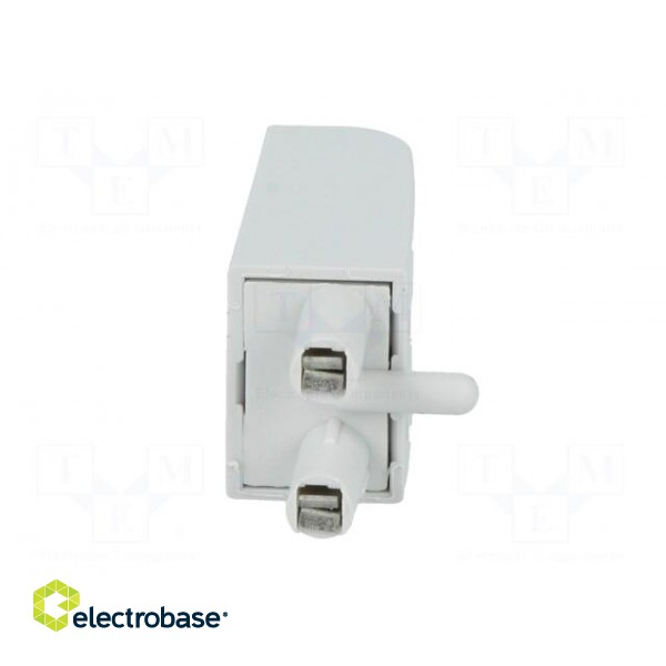 Module protecting | Mounting: socket | Indication: LED | 6/24VDC image 5