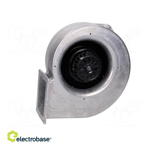 Fan: AC | blower | 230VAC | 261x125x283mm | 400m3/h | ball bearing | IP44 image 3