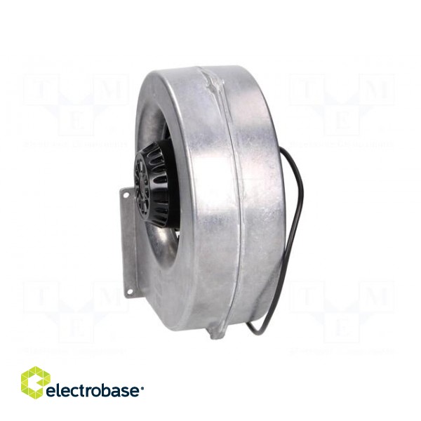 Fan: AC | blower | 230VAC | 261x125x283mm | 400m3/h | ball bearing | IP44 image 5