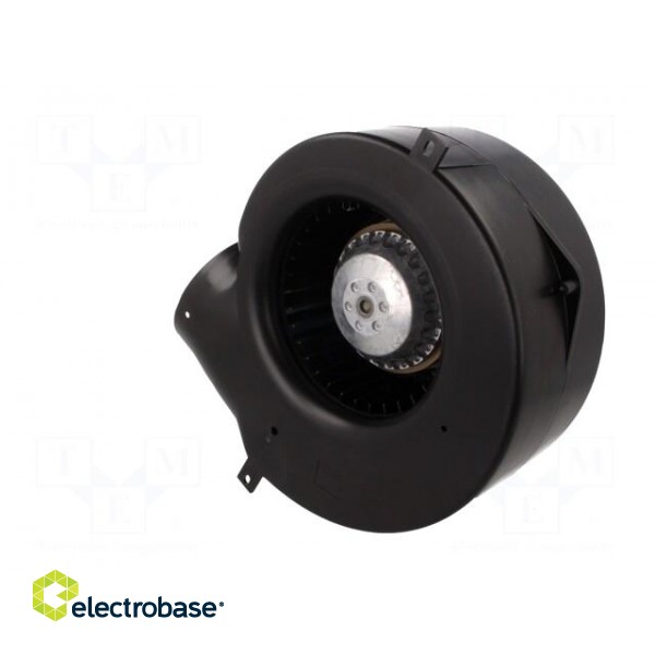 Fan: AC | blower | 230VAC | Ø140mm | 390m3/h | ball bearing | 1800rpm image 4