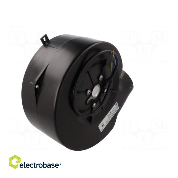 Fan: AC | blower | 230VAC | Ø140mm | 390m3/h | ball bearing | 1800rpm image 6