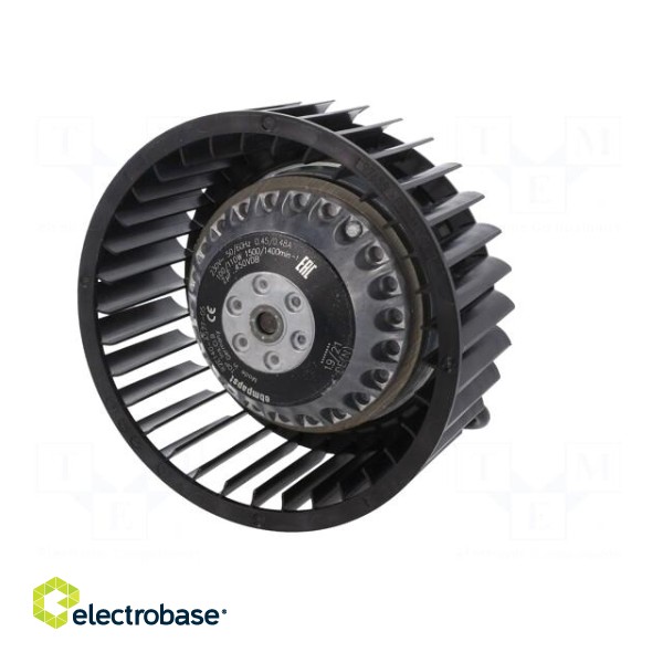 Fan: AC | radial | 230VAC | Ø142x72mm | 405m3/h | ball bearing | 1500rpm image 3