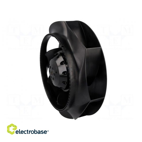 Fan: AC | radial | 230VAC | Ø252x71mm | ball bearing | 2500rpm | IP44 paveikslėlis 4
