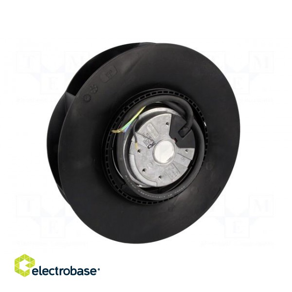 Fan: AC | radial | 230VAC | Ø252x71mm | ball bearing | 2500rpm | IP44 image 6