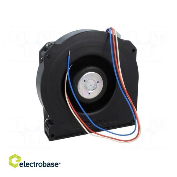 Fan: DC | blower | 127x127x25mm | 41m3/h | ball bearing | 5100rpm image 6