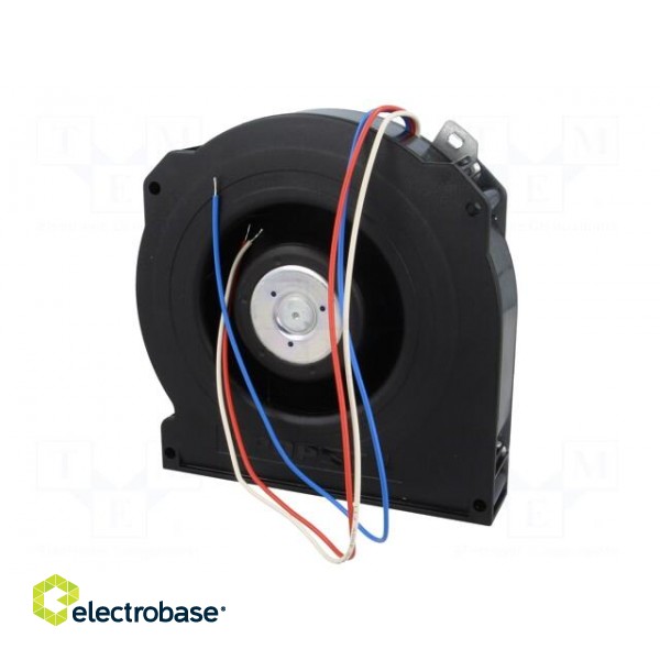 Fan: DC | blower | 127x127x25mm | 41m3/h | ball bearing | 5100rpm image 7