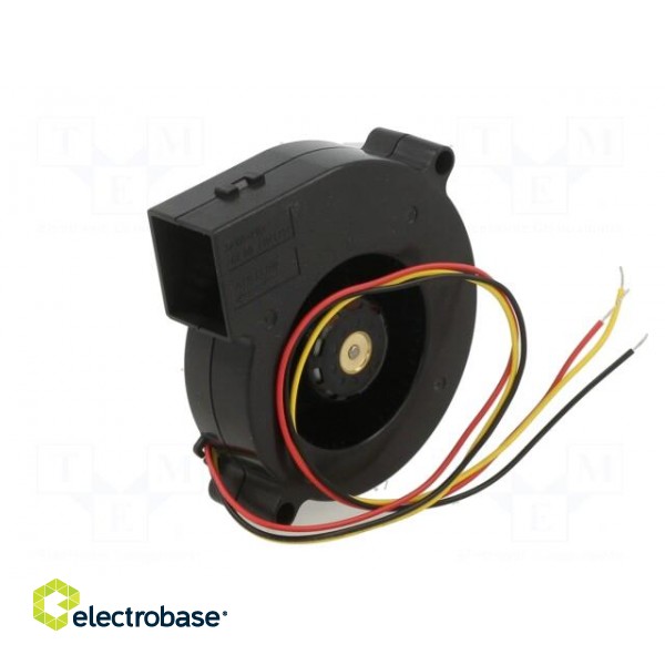 Fan: DC | blower | 12VDC | Ø76x20mm | 17.4m3/h | 43dBA | ball bearing image 6