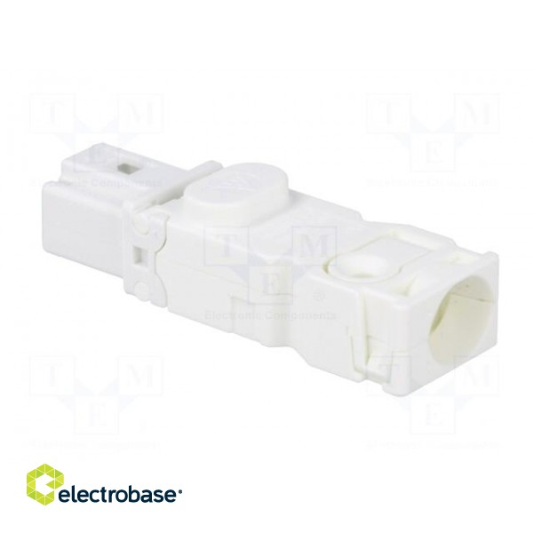 Cab.accessories: male plug | Series: 025 | Conform to: UL,VDE | male image 4
