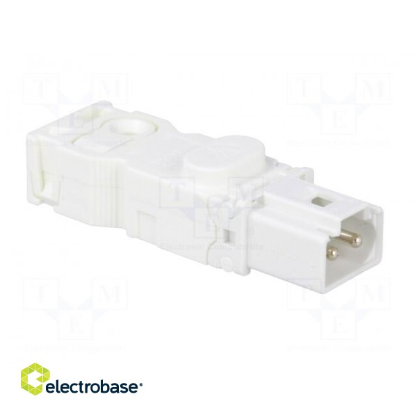 Cab.accessories: male plug | Series: 025 | Conform to: UL,VDE | male image 8