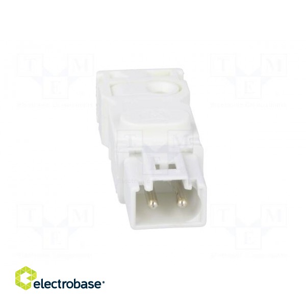 Cab.accessories: male plug | Series: 025 | Conform to: UL,VDE | male image 9