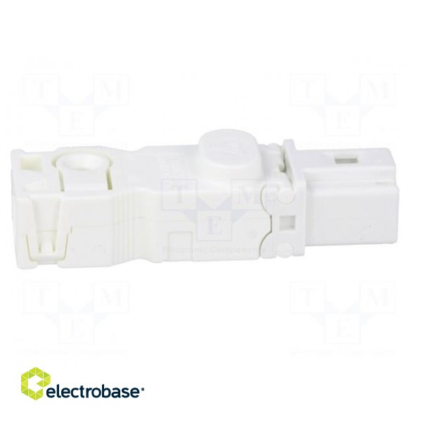 Cab.accessories: male plug | Series: 025 | Conform to: UL,VDE | male image 7
