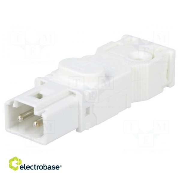 Cab.accessories: male plug | Series: 025 | Conform to: UL,VDE | male image 1