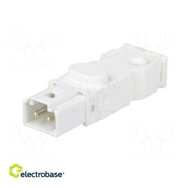 Cab.accessories: male plug | Series: 025 | Conform to: UL,VDE | male image 2