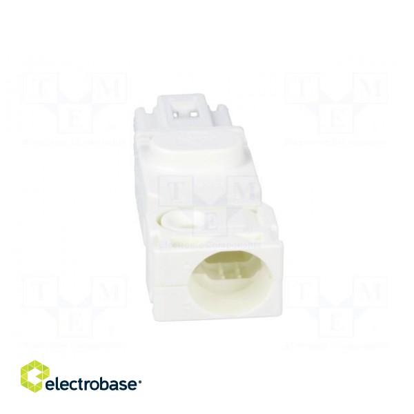 Cab.accessories: male plug | Series: 025 | Conform to: UL,VDE | male image 5