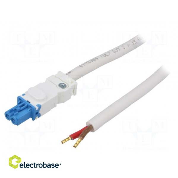 Power cable | cascade connection | 24÷48VDC | 025 | female | 2m