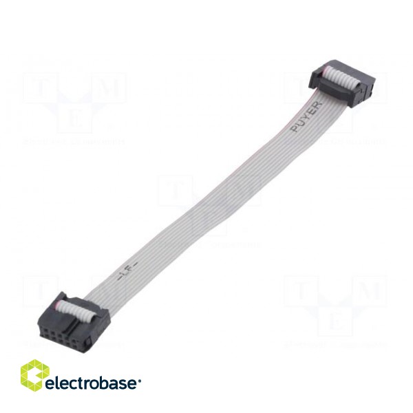 Ribbon cable with IDC connectors | 10x28AWG | Cable ph: 1.27mm