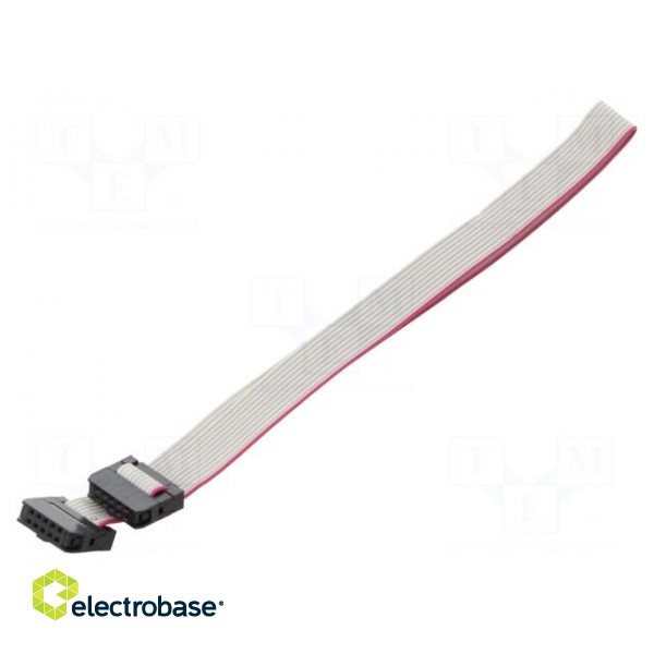 Ribbon cable with IDC connectors | Cable ph: 1mm | 0.3m | 10x28AWG