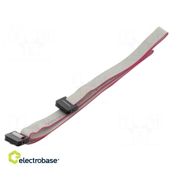 Ribbon cable with IDC connectors | Cable ph: 1mm | 0.6m | 10x28AWG