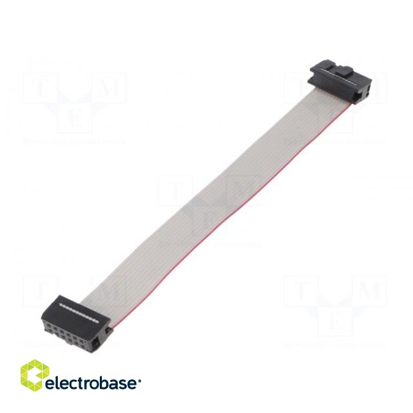 Ribbon cable with IDC connectors | 12x28AWG | Cable ph: 1.27mm