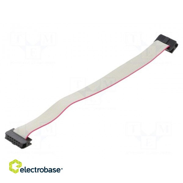 Ribbon cable with IDC connectors | Cable ph: 1mm | 0.15m | 12x28AWG