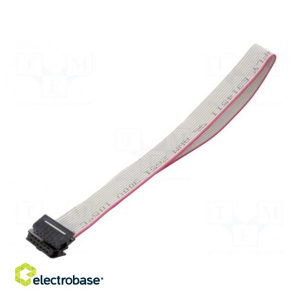 Ribbon cable with IDC connectors | Cable ph: 1mm | 0.3m | 12x28AWG