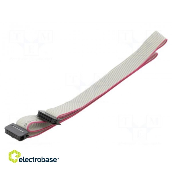 Ribbon cable with IDC connectors | Cable ph: 1mm | 0.6m | 12x28AWG