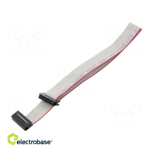 Ribbon cable with IDC connectors | Cable ph: 1mm | 0.3m | 14x28AWG