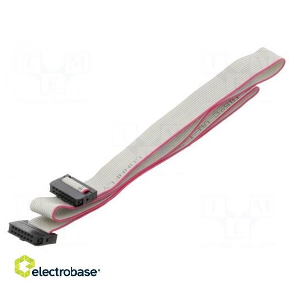Ribbon cable with IDC connectors | Cable ph: 1mm | 0.6m | 14x28AWG