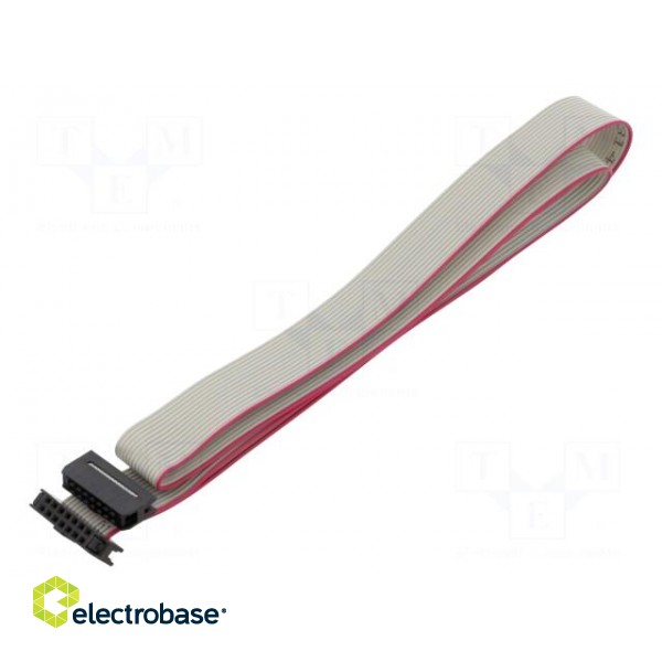 Ribbon cable with IDC connectors | Cable ph: 1mm | 0.6m | 14x28AWG