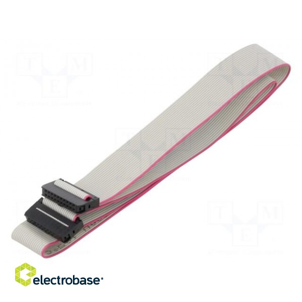 Ribbon cable with IDC connectors | Cable ph: 1mm | 0.6m | 20x28AWG