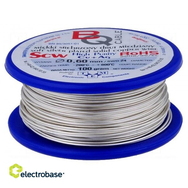 Silver plated copper wires | 0.6mm | 100g | Cu,silver plated | 40m