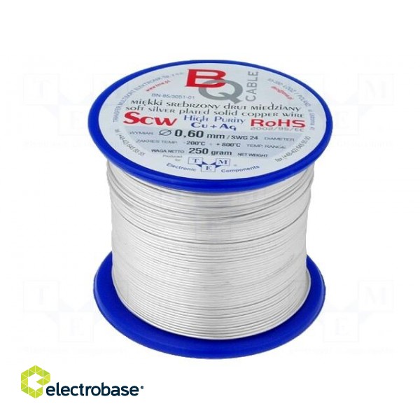 Silver plated copper wires | 0.6mm | 250g | 104m | -200÷800°C