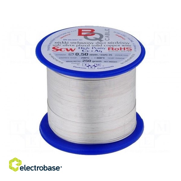 Silver plated copper wires | 0.9mm | 250g | Cu,silver plated | 44m