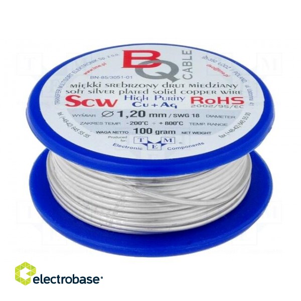 Silver plated copper wires | 1.2mm | 100g | Cu,silver plated | 9.5m