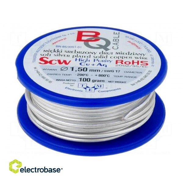 Silver plated copper wires | 1.5mm | 100g | 6m | -200÷800°C