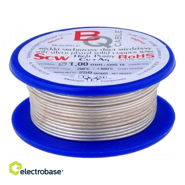 Silver plated copper wires | 1mm | 100g | Cu,silver plated | 14m